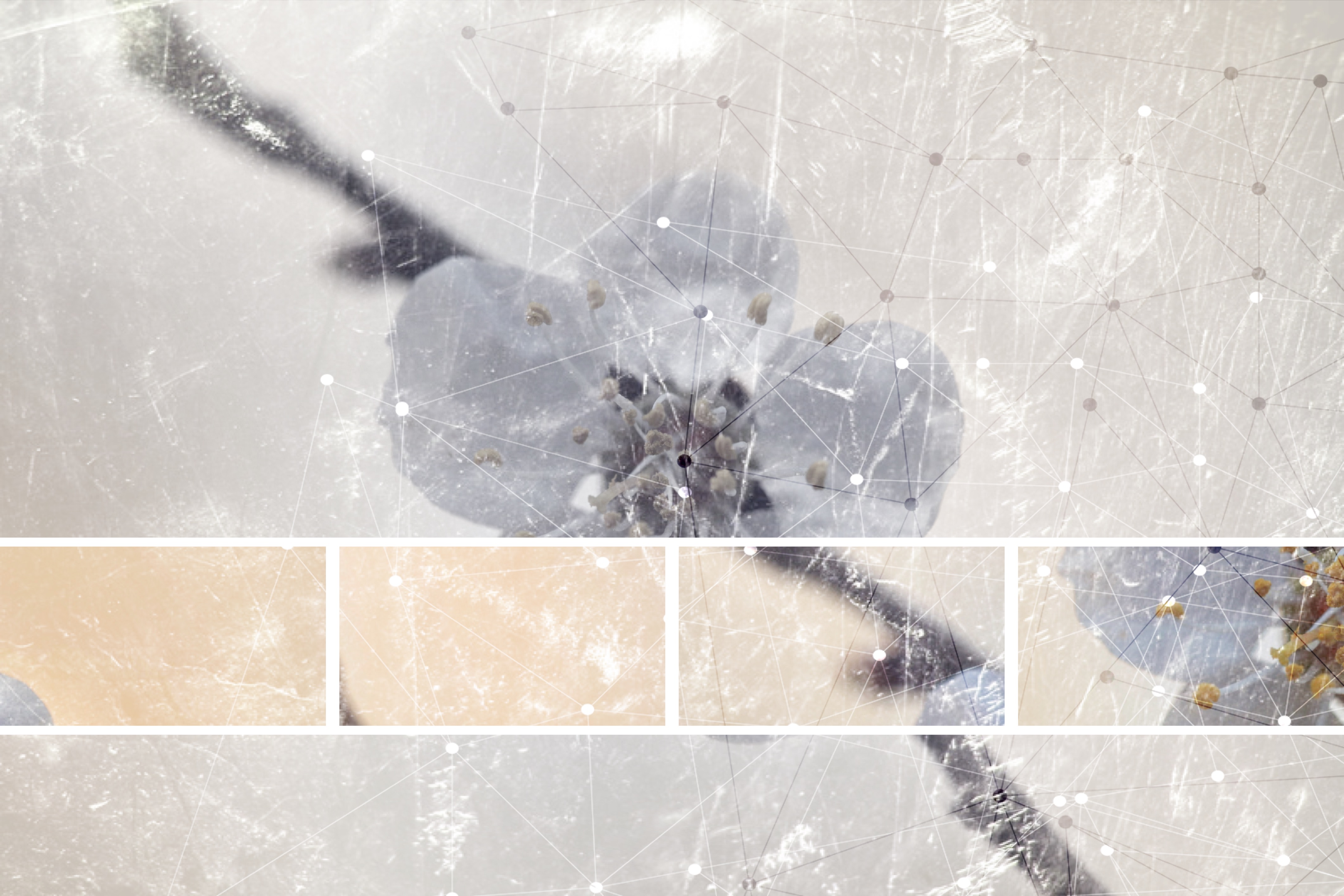 EN LA QUIETUD DEL SILENCIO