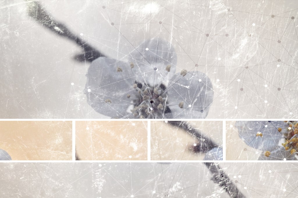 En la quietud del&nbsp;silencio