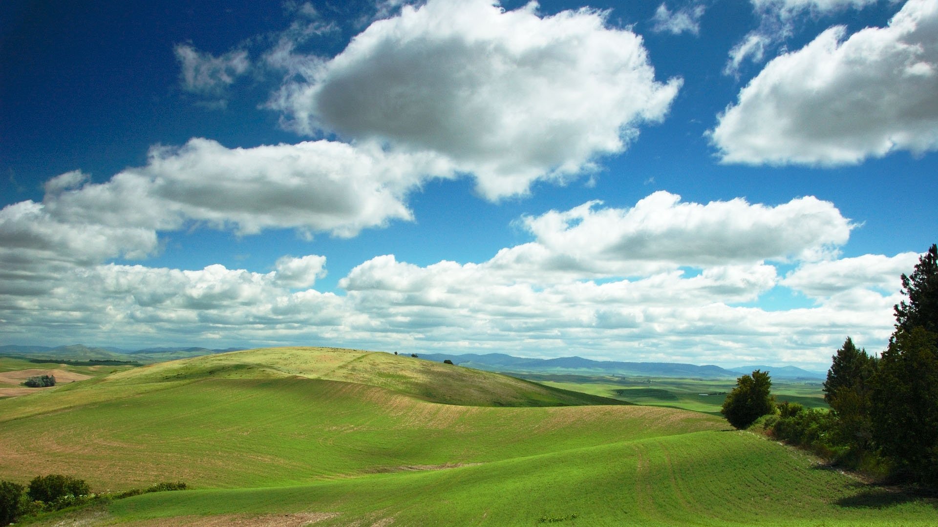 campo-cielo-azul-y-nubes-51fde4128721a
