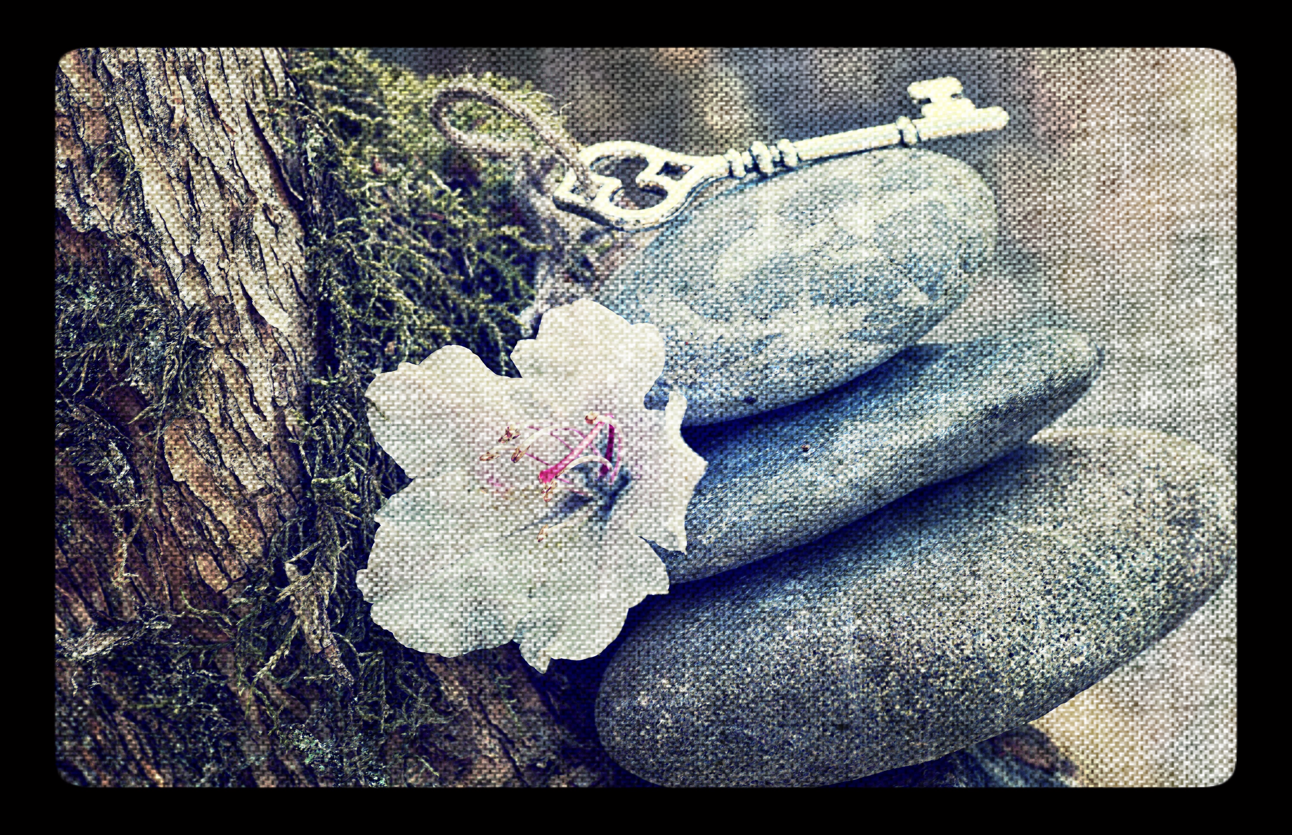 LA PROCESIÓN VA POR DENTRO