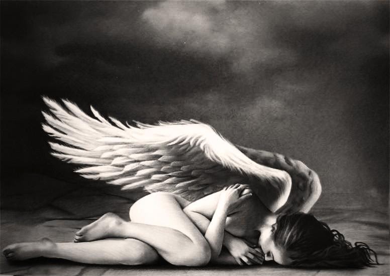 Alas rotas |&nbsp;Genista77