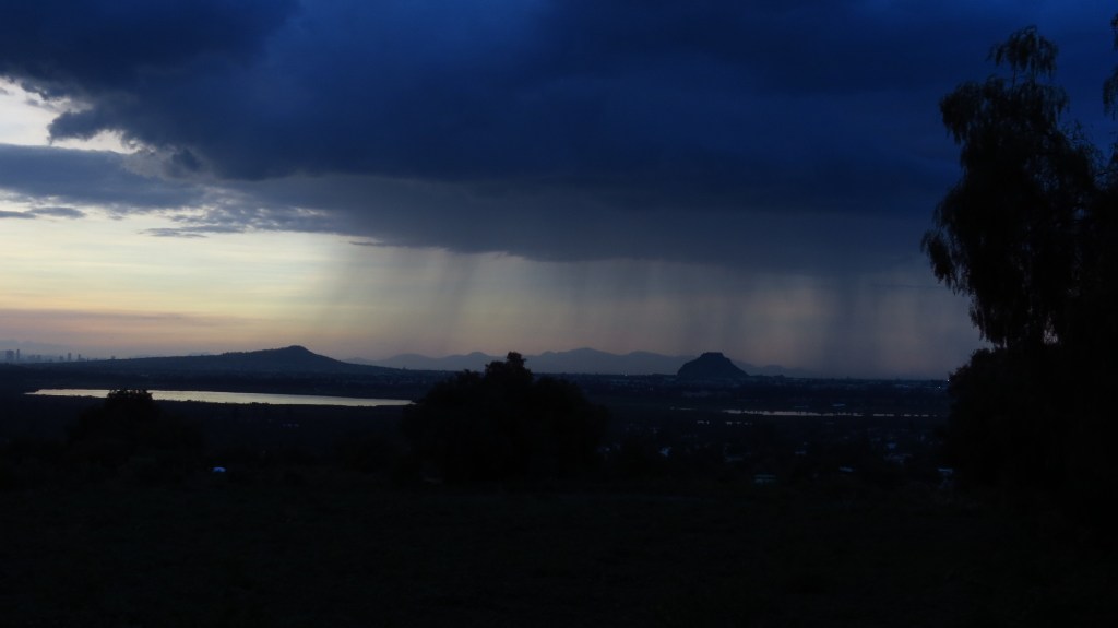 Sed – Susana&nbsp;Argueta