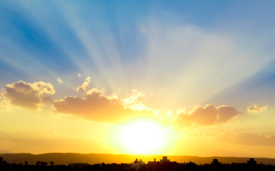 SIEMPRE / Adelina&nbsp;GN