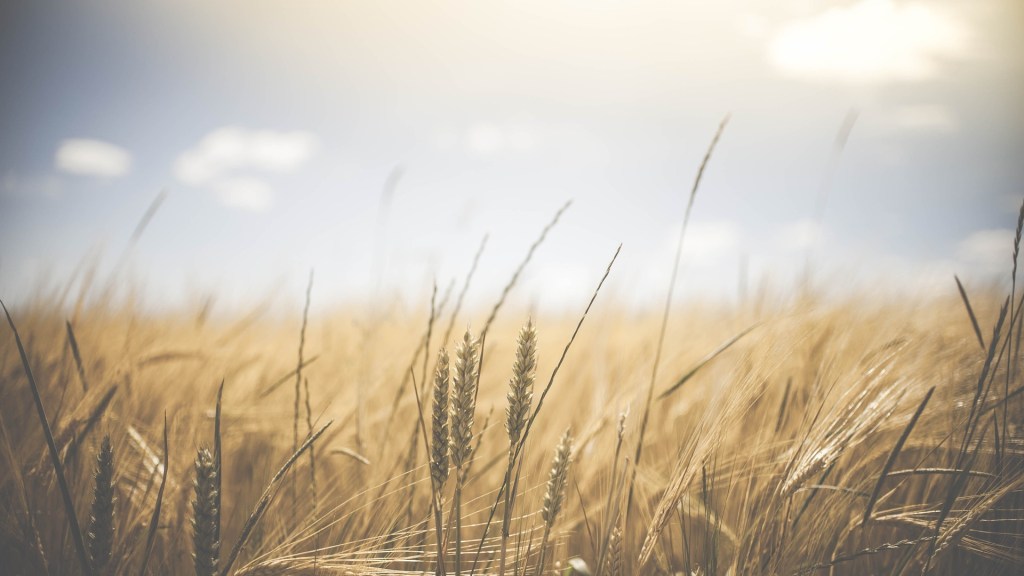 Cuestión de principios– Daniel Olivares&nbsp;Viniegra