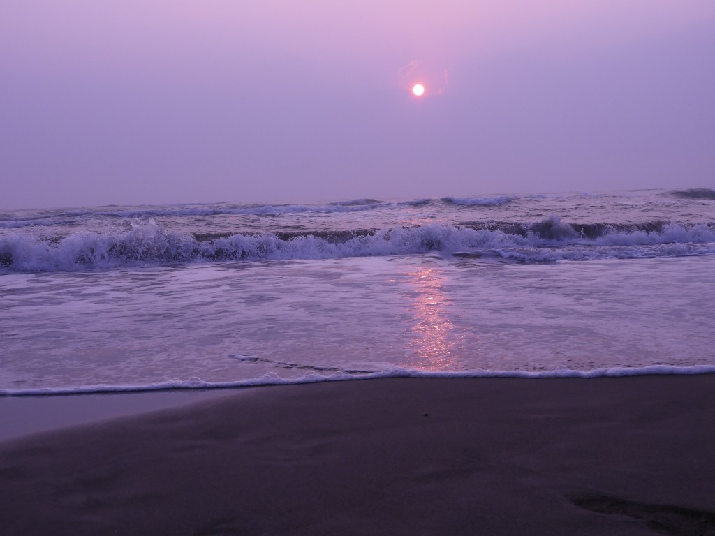 Transmutación – Susana&nbsp;Argueta