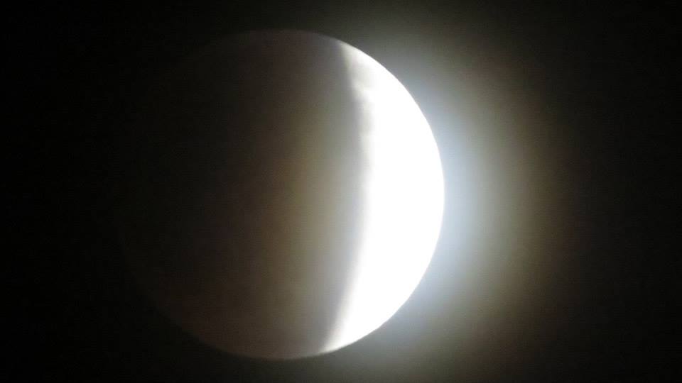 Mujer Universal * Susana&nbsp;Argueta