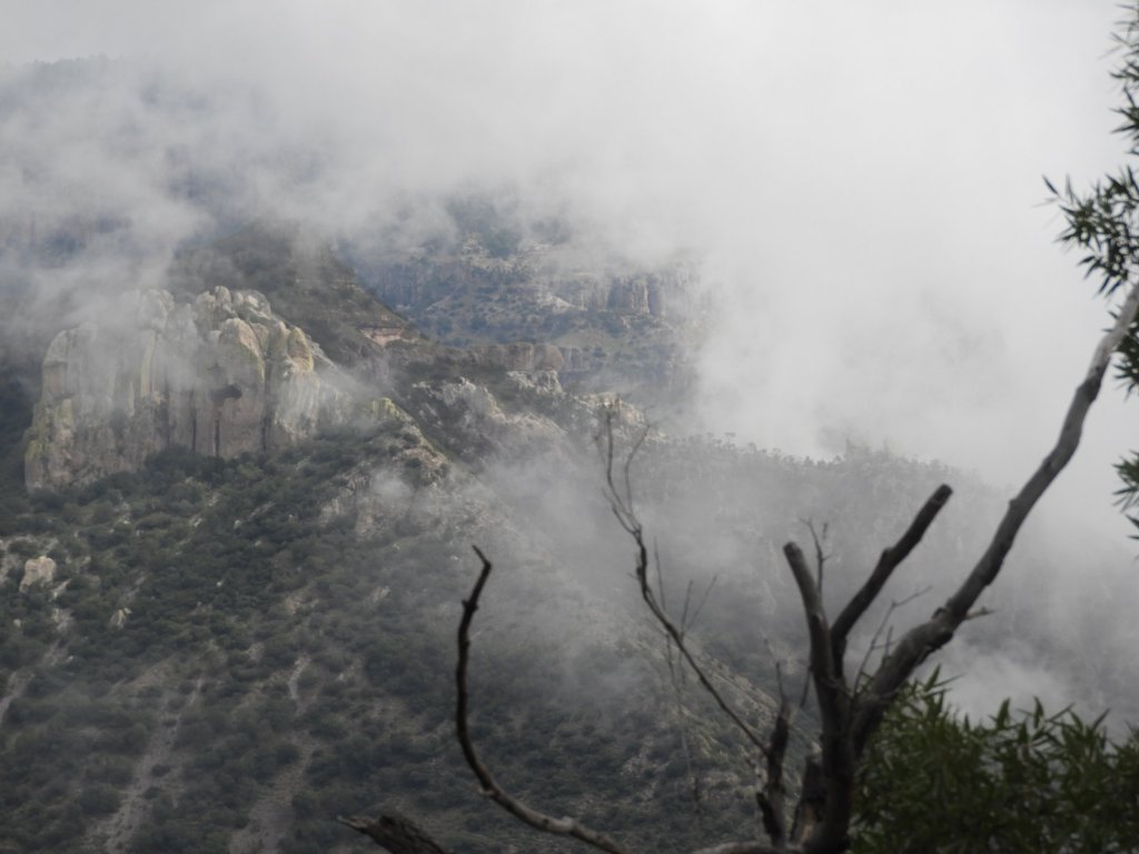 ¿Acaso es un delito querer ser lo que somos? − Ana&nbsp;Yaretzy