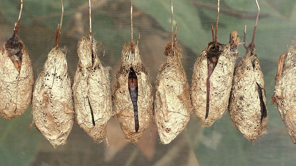 Agenda –Daniel Olivares&nbsp;Viniegra–