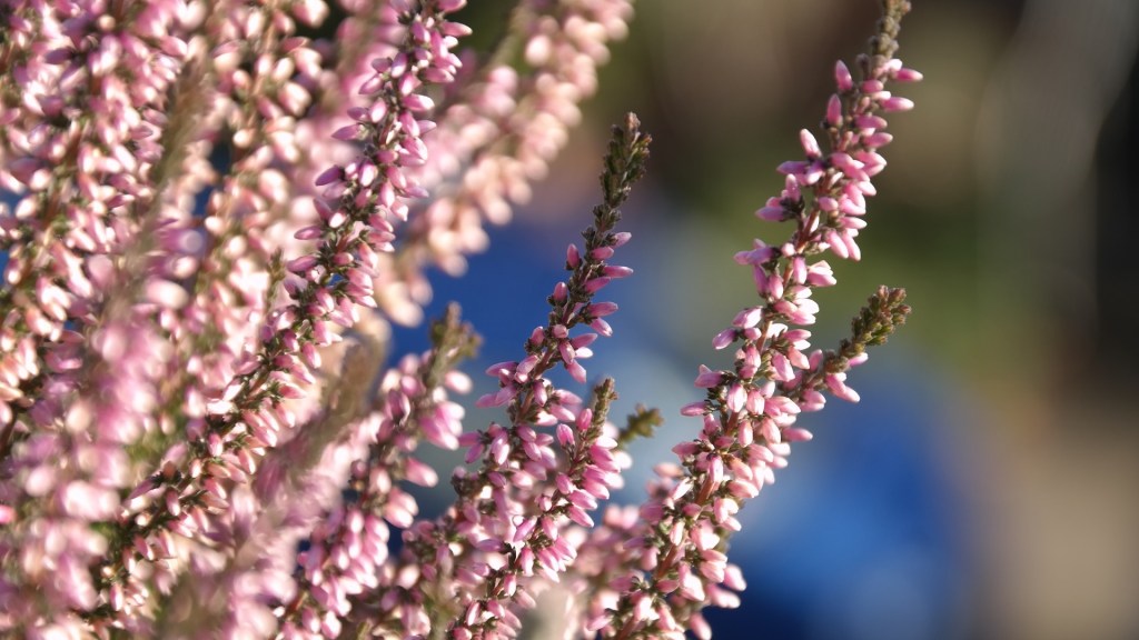 De 7 a 7: Indefinición de la esperanza… –Daniel Olivares&nbsp;Viniegra–