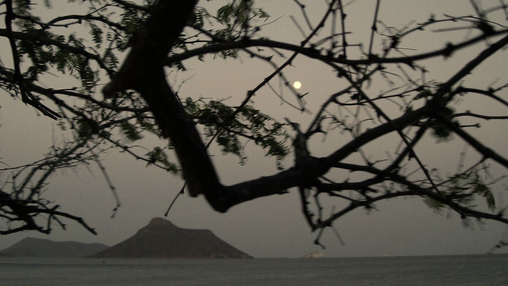 Ojos ascuas – Daniel Olivares&nbsp;Viniegra