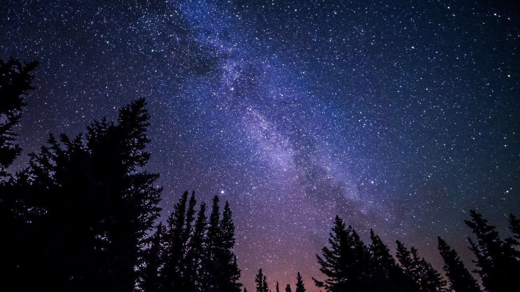 Transición 2020 –Daniel Olivares&nbsp;Viniegra–