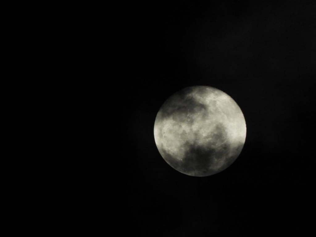 Gravitación * Susana&nbsp;Argueta