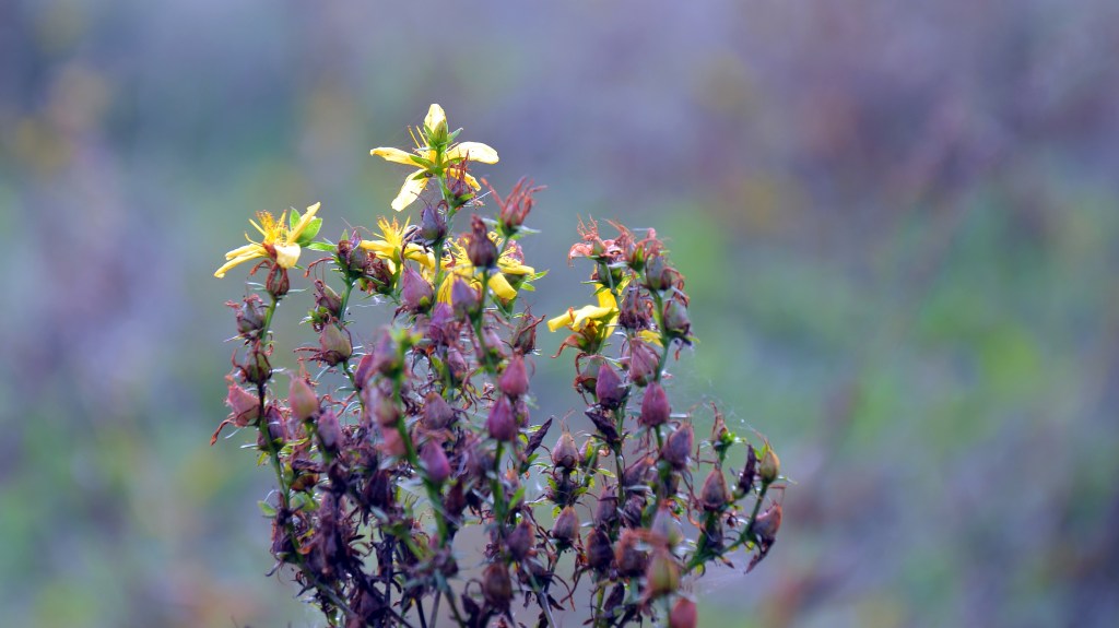 Eres Libre −&nbsp;Agusletras