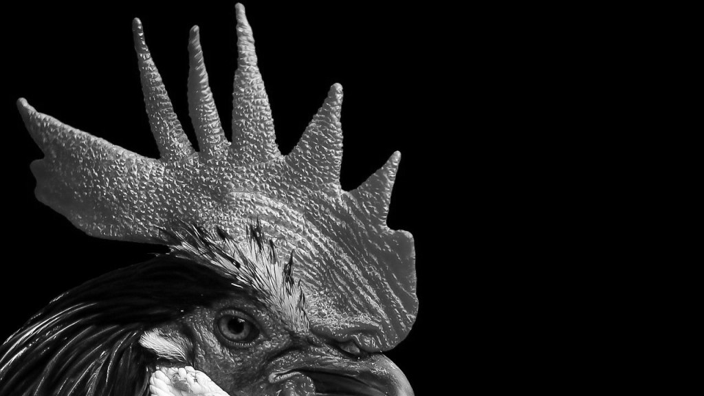 Contrapoema vudú – Daniel Olivares Viniegra