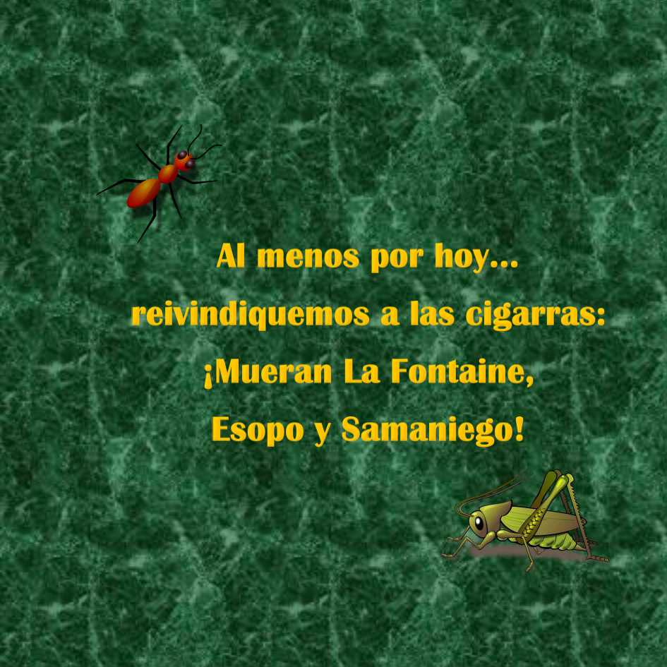 entomología para órbita