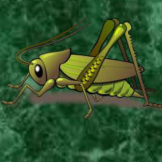 entomología para órbitacuad