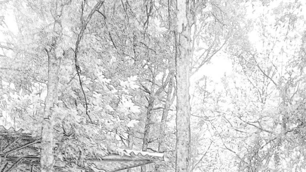 Instantánea – Daniel Olivares Viniegra