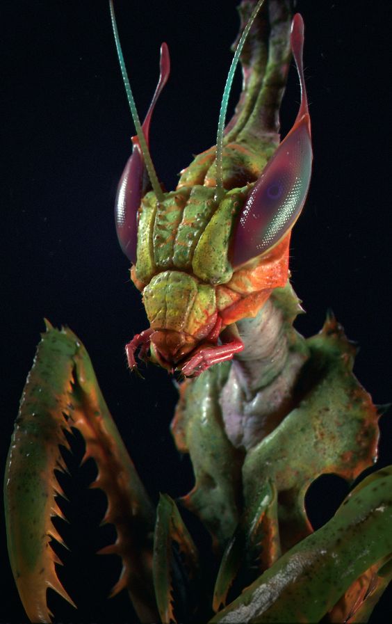 CORONAVIRUS V − Eduardo Ramírez&nbsp;Moyano