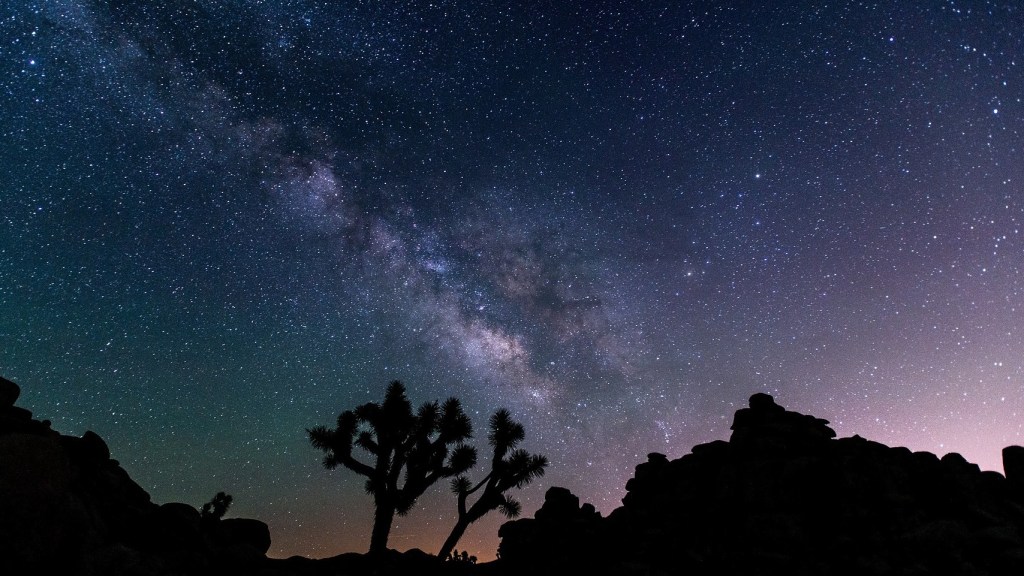 Alteridad paraecológica – Daniel Olivares Viniegra