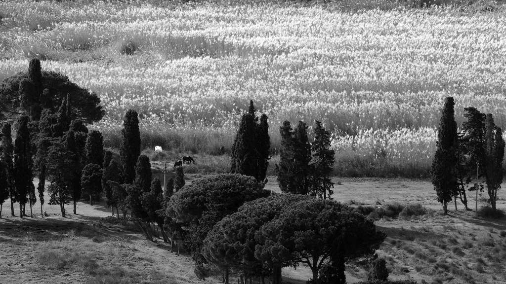 Agua escondida – Daniel Olivares Viniegra