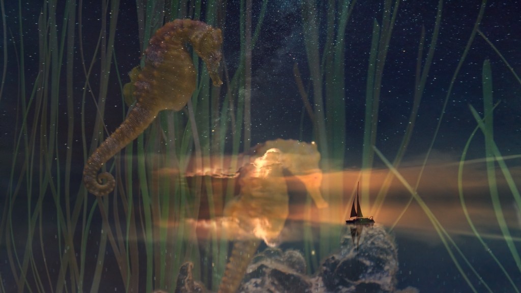 Aquaescencia – Daniel Olivares Viniegra