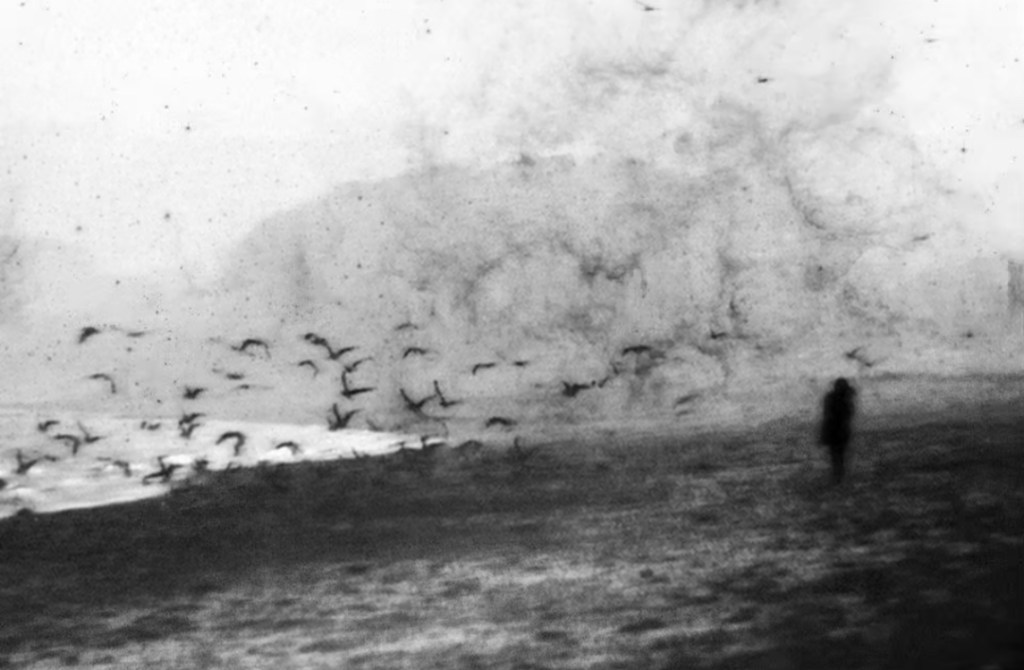 Infrahumano / Felipe&nbsp;Medina