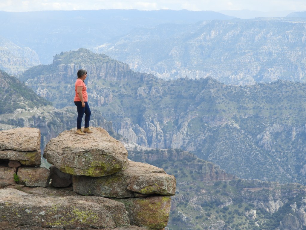 Desacato a mi gravedad * Susana&nbsp;Argueta