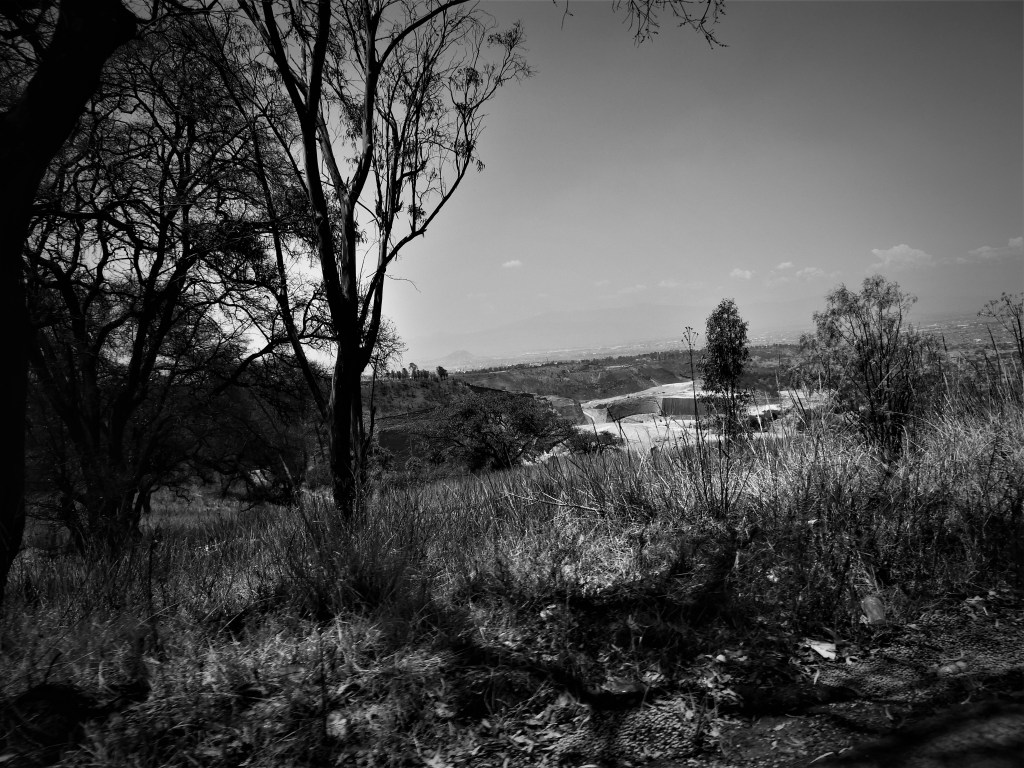 Kiawak | José Carlos&nbsp;Monroy