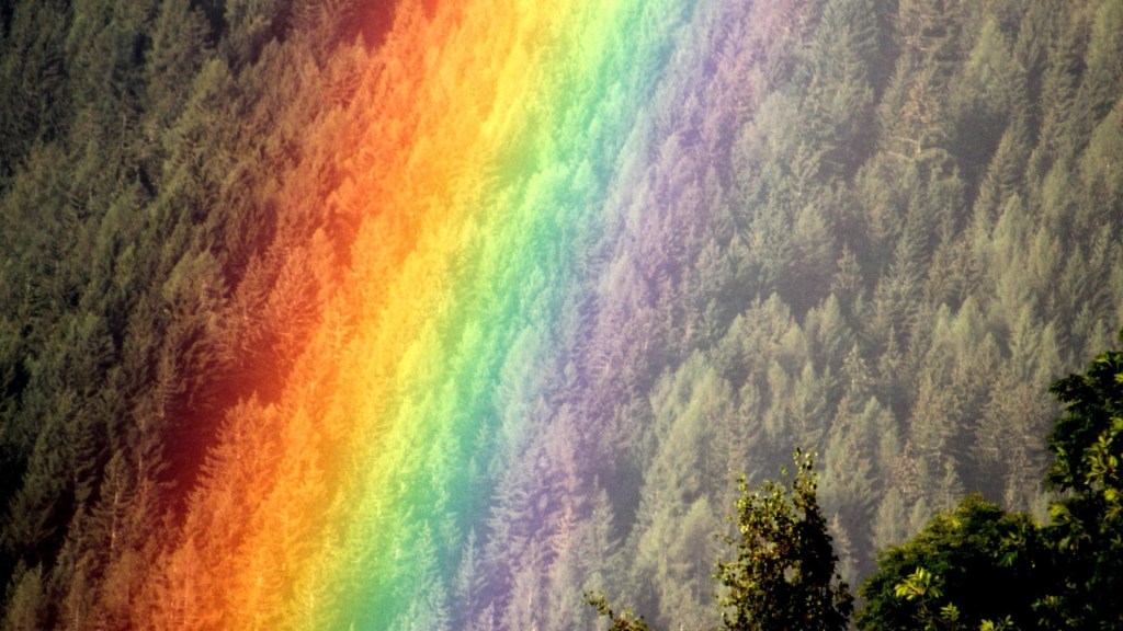 Antipoema que será luz blanca –Daniel Olivares&nbsp;Viniegra–