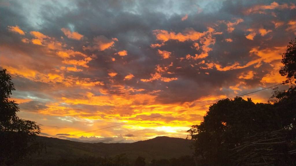 Vivre sans précipitation / LF&nbsp;Medina