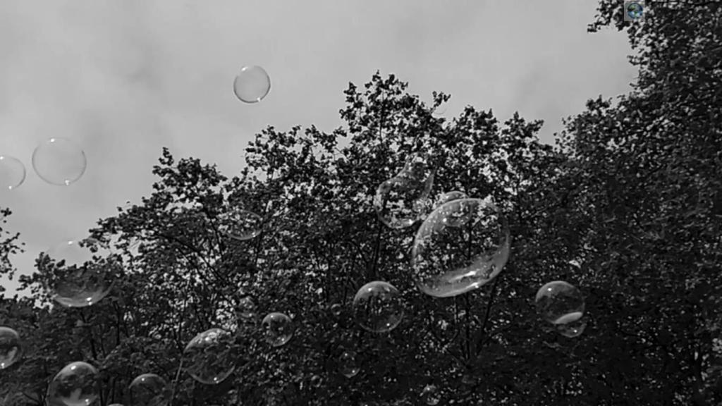 Ni es amor, en cuatro tiempos / Septigramas –Daniel Olivares&nbsp;Viniegra–