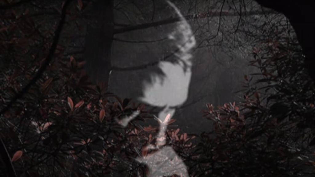 Líquida luz (I) –Daniel Olivares&nbsp;Viniegra–