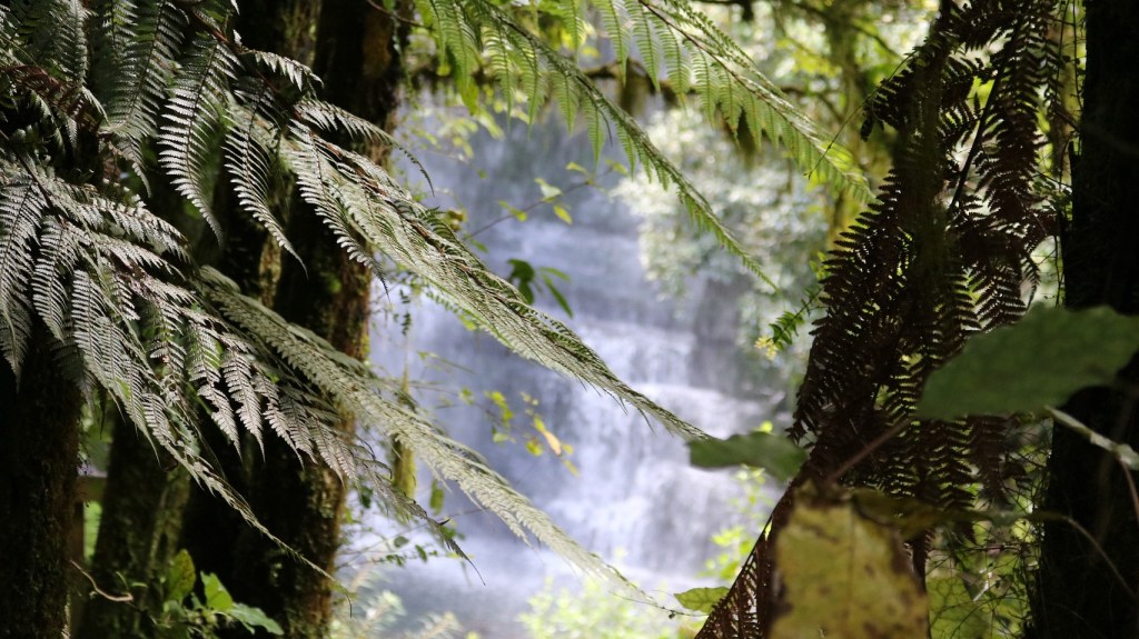 Corredor de la Sierra − Daniel Olivares Viniegra