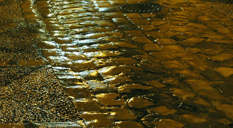 Eco de verano –Daniel Olivares Viniegra–