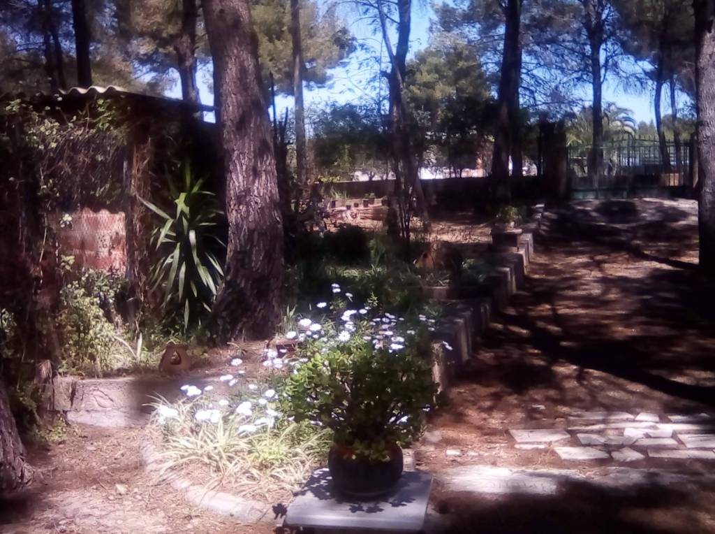 El lugar donde habitó la verdad – Adelina Gimeno&nbsp;Navarro