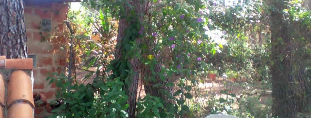 Soy – Adelina Gimeno&nbsp;Navarro