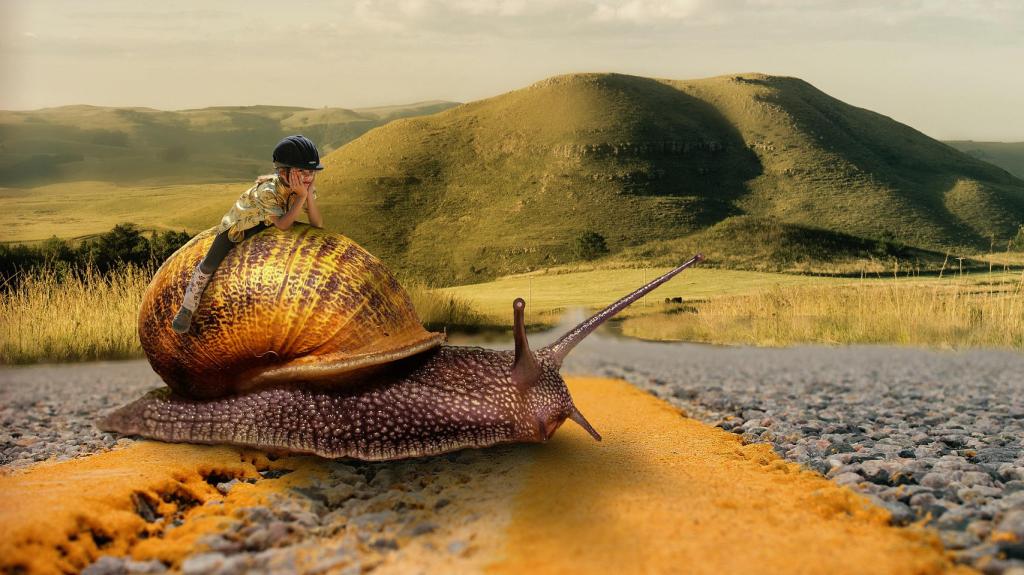 Retórica aplicada I – Daniel Olivares&nbsp;Viniegra