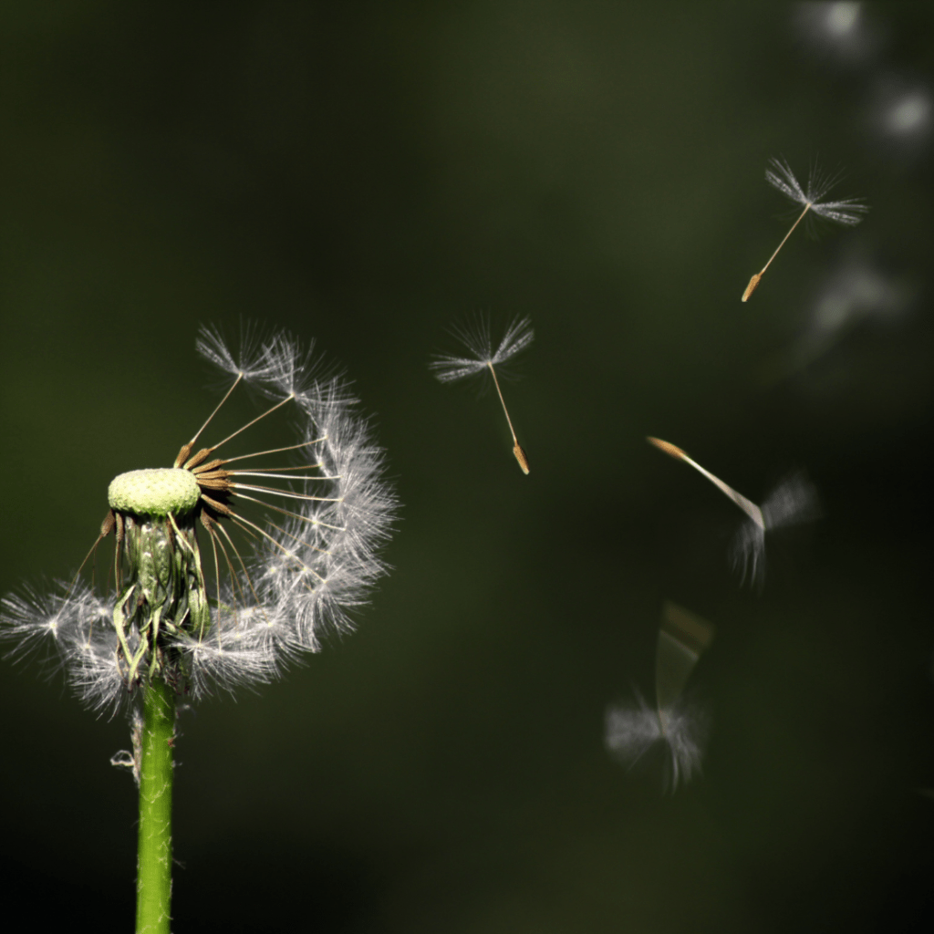 Terminamos-Alejandra Graciela