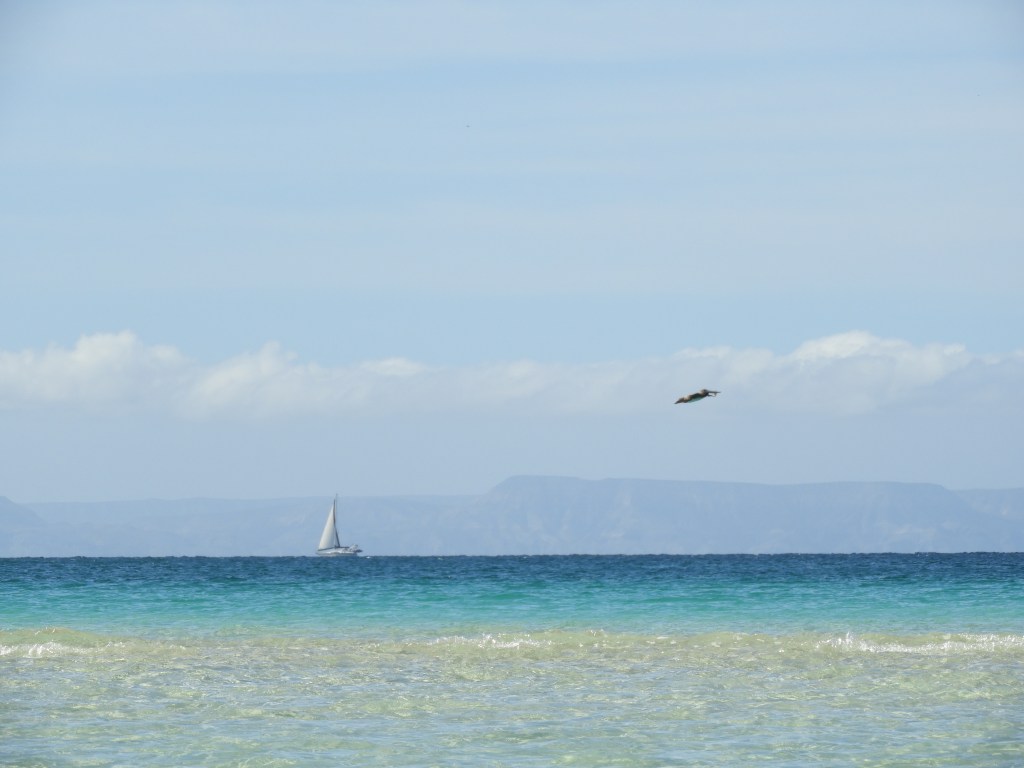 Creímos − Alejandra&nbsp;G