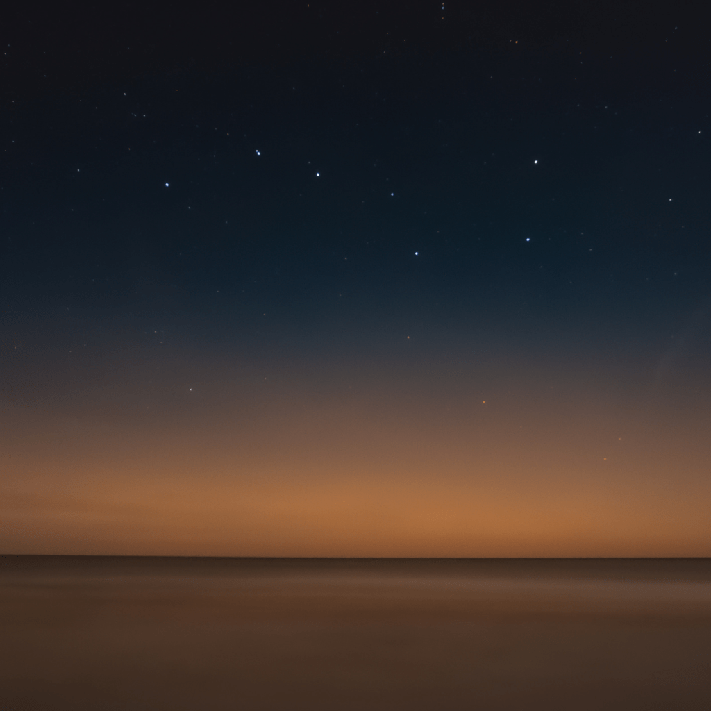 Promesas vacías – Alejandra&nbsp;Casco