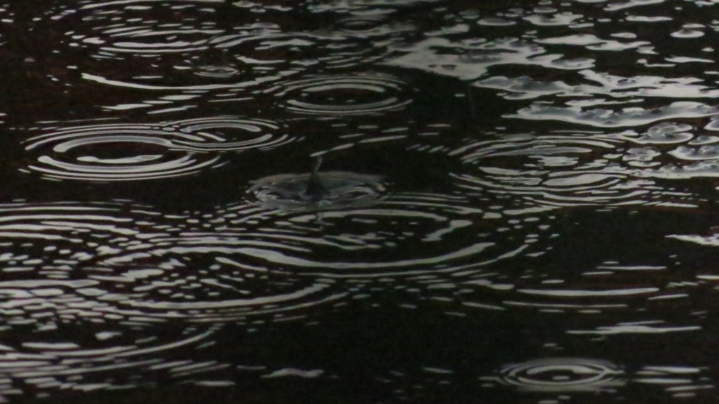 Llueve, noche * Susana&nbsp;Argueta