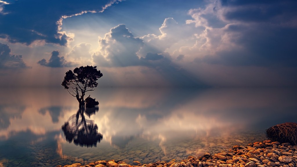 Retórica aplicada XVI – Daniel Olivares&nbsp;Viniegra