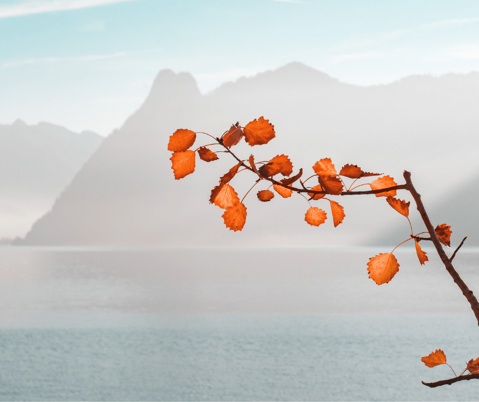 Fantasma – Alejandra&nbsp;Graciela