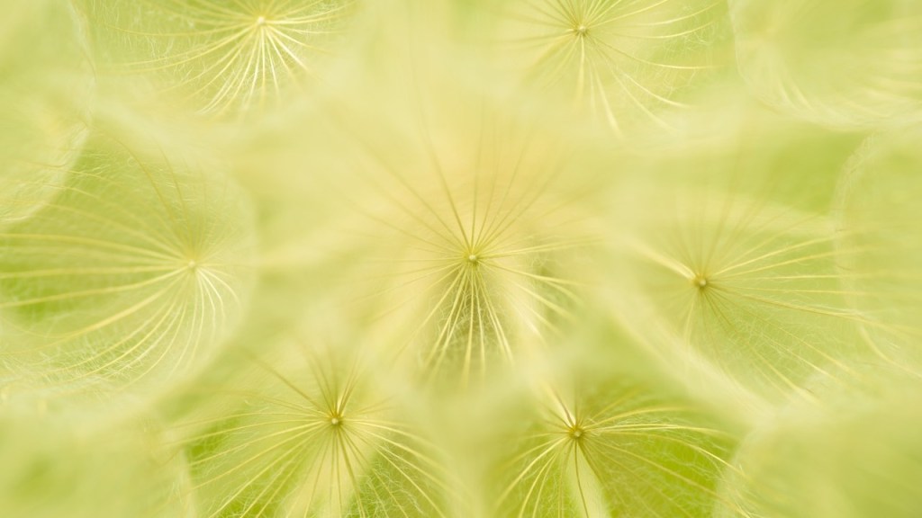 Retórica aplicada XXXIV – Daniel Olivares Viniegra