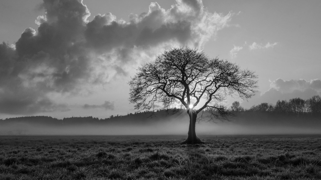 Gambito – Daniel Olivares Viniegra