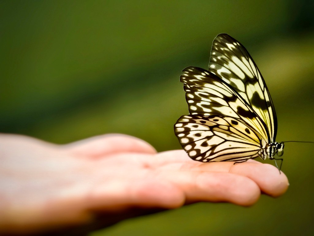 Coraje de vivir – Adelina Gimeno Navarro