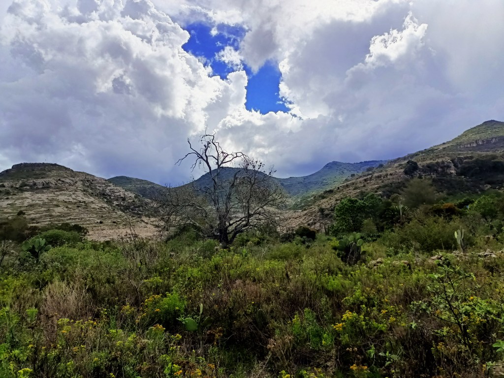 Mitología de la lluvia – Susana&nbsp;Argueta