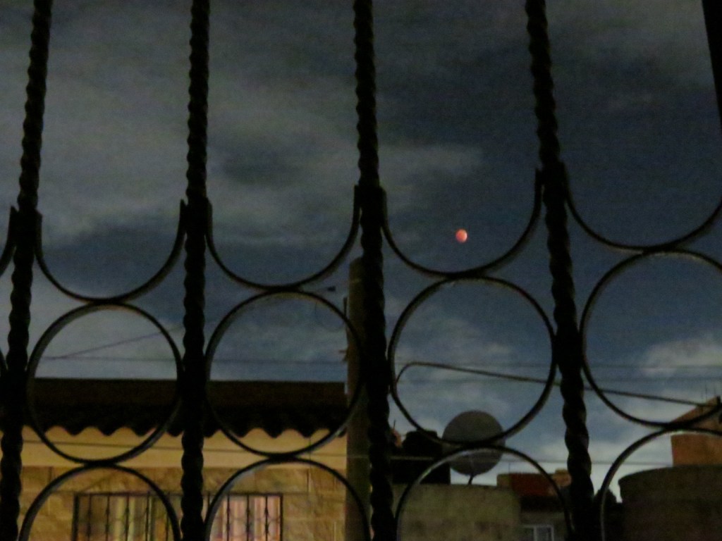 La noche – Susana&nbsp;Argueta