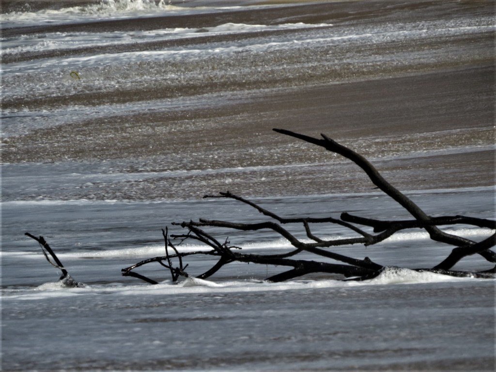 En la postrimería – Susana&nbsp;Argueta