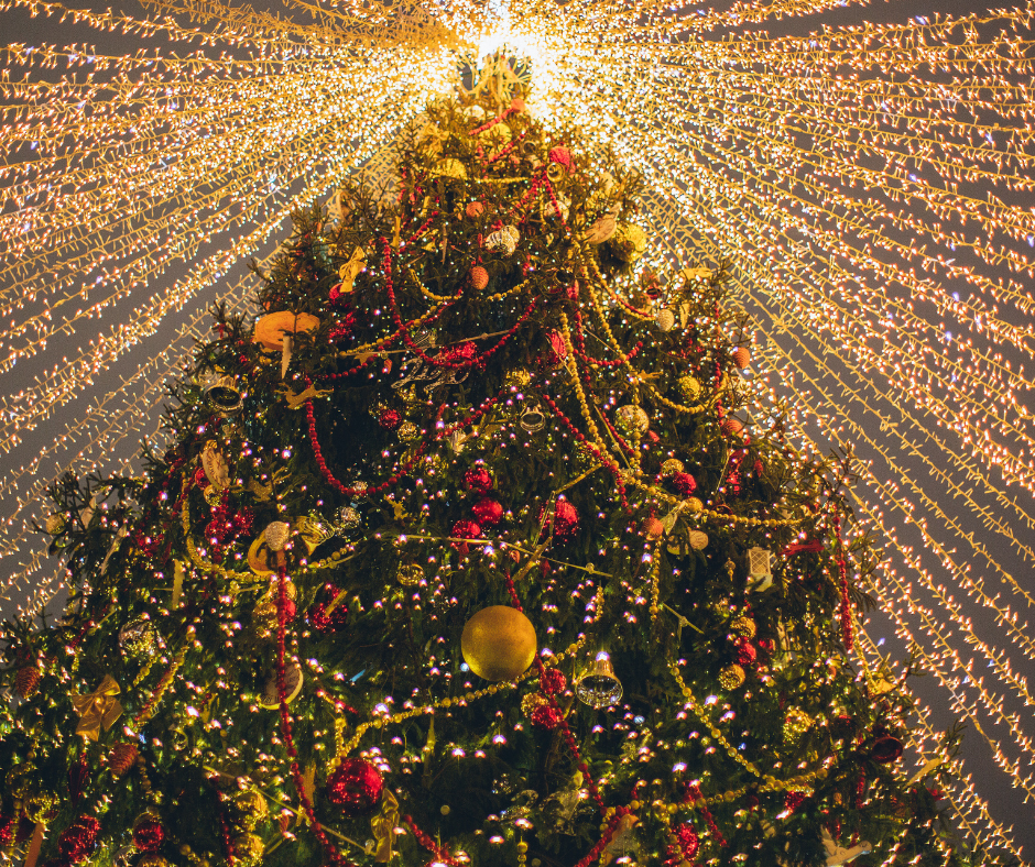 Felices Fiestas − Alejandra&nbsp;Graciela